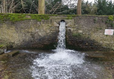 Excursión Senderismo Hamois - MOHIVILLE  ... commune de Hamois en Condroz. - Photo