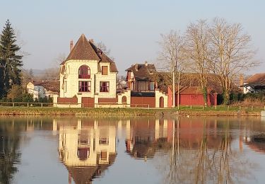 Trail Walking Villeneuve-sur-Yonne - 220306 Villeneuve sur Yonne - Photo