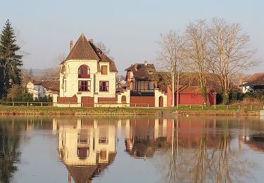 Percorso Marcia Villeneuve-sur-Yonne - 220306 Villeneuve sur Yonne - Photo