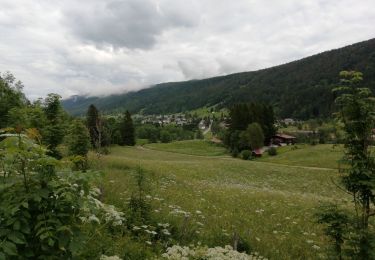 Tour Wandern Lélex - balise 2 - Photo