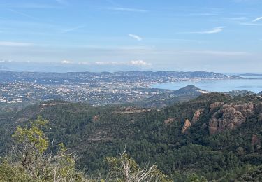 Percorso sport Saint-Raphaël - Esterel - Autour des Suivières - Photo