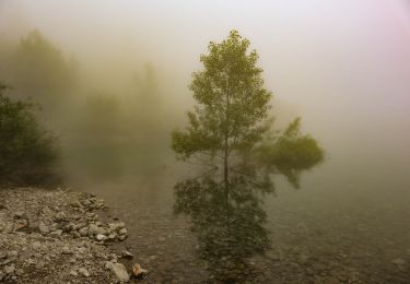 Randonnée Marche Les Deux Alpes - Lac Lauvitel (Vénosc - Isère) 11/07/2020 à 09:26 - Photo