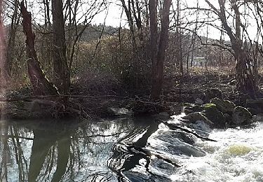 Excursión A pie Schwäbisch Gmünd - Schwäbisch Gmünd - Krähe - Lorch - Photo