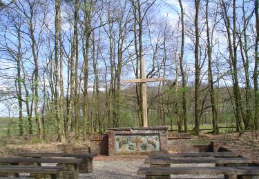 Tour Zu Fuß Cranendonck - Weerterbos & Hughterheide - Geel - Photo