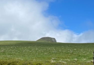 Excursión Senderismo Murat-le-Quaire - Puy Loup- Banne d’Ordanche-Gacherie - Photo