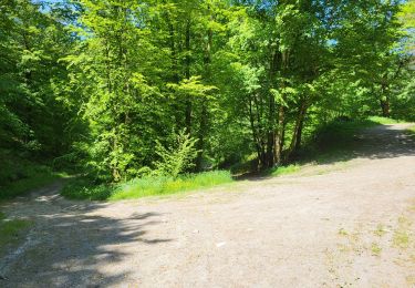 Tocht Stappen Bouillon - Botassart 240523 - Photo