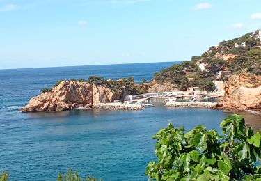 Randonnée Marche Ensuès-la-Redonne - Ensuès la Redonne-Niolon - Photo