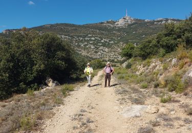 Tour Wandern Saint-Saturnin-de-Lucian - fête de la randonnée 21 St saturnin de lucia - Photo