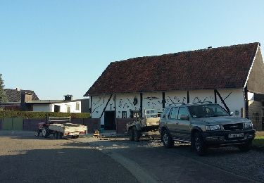 Tocht Te voet Borgloon - Perenboomgaardwandeling - Photo