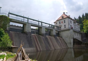 Percorso A piedi Viechtach - Viechtach, Rundweg Nr. 1 - Photo