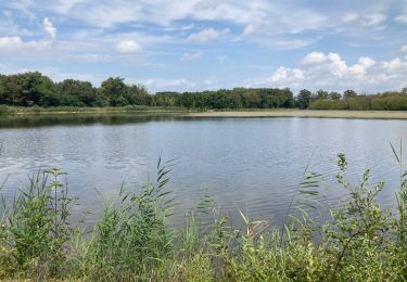 Trail Walking Saint-Paul-de-Varax - La Dombes  - Photo