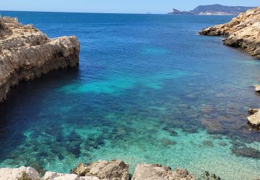 Trail Walking Saint-Cyr-sur-Mer - Le port d' Allon +370  - Photo