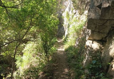 Excursión Senderismo Caudiès-de-Fenouillèdes - ND de lavall - Photo