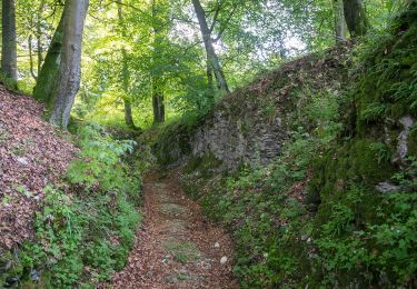 Randonnée A pied Schlangen - Rundwanderweg 34 [Barnacken] - Photo