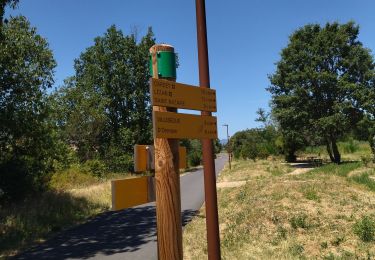 Excursión Bici de carretera Sommières - Sommières velo - Photo