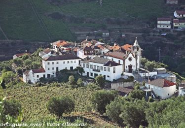 Trail On foot Folhadela - Percurso pedestre do Douro Vinhateiro III - Photo