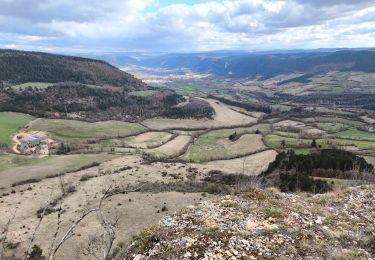 Tocht Stappen Palhers -  La Cham de Palheret  - Photo