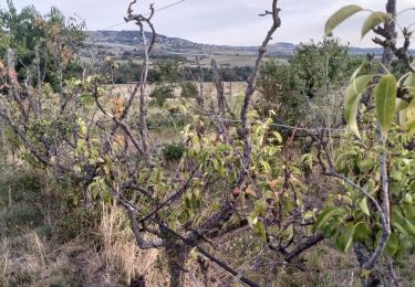 Tour Wandern Chabanière - 69_st_maurice_dargeoire_12km_300m - Photo