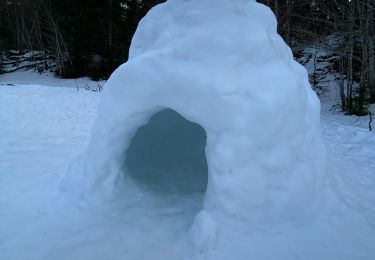 Percorso Racchette da neve Montcel - Le revard la croix des bergers  - Photo