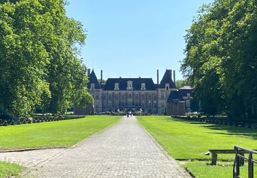 Tour Wandern Courances - Courance  - Photo