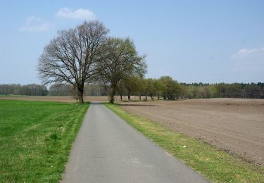 Tocht Te voet Forst (Lausitz) - Baršć - Wanderweg Forst-Döbern - Photo