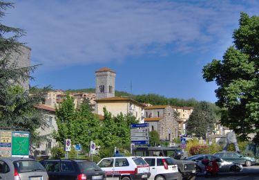 Percorso A piedi Gaiole in Chianti - Trekking tra i castelli 3 - Photo