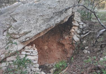 Trail Walking Saumane-de-Vaucluse - Saumane boucle Vigie . Valescure  - Photo