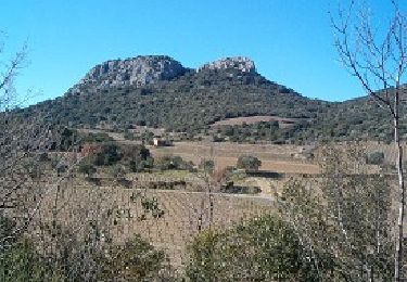 Randonnée Marche Cabrières - Château de Cabrières - Photo