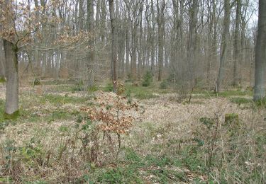 Tocht Te voet Niestetal - Kaufunger Wald, Rundweg 30 - Gut Windhausen - Photo