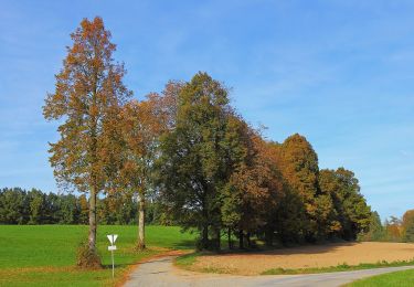 Randonnée A pied Gemeinde Zwettl-Niederösterreich - AT-2 - Photo