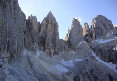 Tocht Te voet Primiero San Martino di Castrozza - IT-751 - Photo