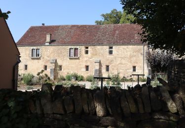 Randonnée A pied Gevrey-Chambertin - Sentier Bernard Quarteaux - Photo