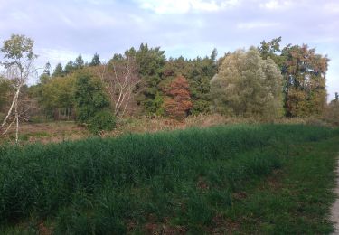 Excursión Senderismo Burdeos - bois de Bordeaux  - Photo