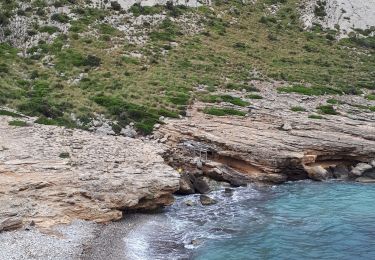 Percorso Marcia Pollença - MAJORQUE - Cala Figuera (Formentor) - Photo