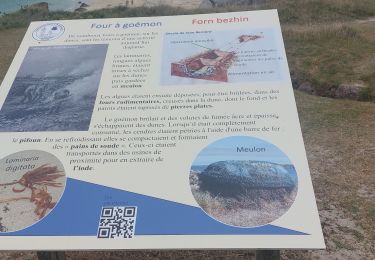 Randonnée Marche Plounéour-Brignogan-Plages - 20250804 - Photo