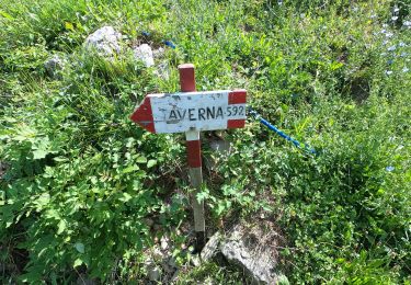 Tour Zu Fuß Val Brembilla - Sentiero 505B: Zogno (via Sottocorna) - contrada Casarielli - S. Antonio Abbandonato - Photo