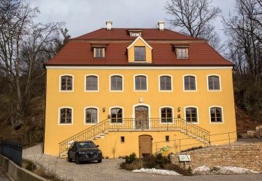 Excursión A pie Mühlhausen - Sulzbürger Wanderweg Nr. 1 - Photo