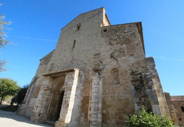 Excursión A pie San Quirico d'Orcia - Bagni Vignoni - Sant'Antimo - Photo