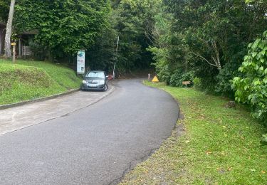 Tocht Trail Saint-Claude - Beausoleil  - Photo