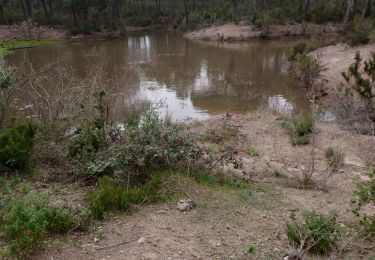 Tocht Stappen Puget-sur-Argens - z la lieutenante 28-01-20 - Photo