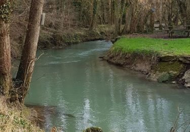 Tocht Stappen Mauperthuis - mauperthuis - Photo