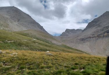 Trail Walking Allos - ALLOS . LE PIOLAT . O - Photo