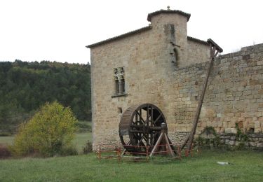 Tocht Te voet Arques - Les Berques - Photo