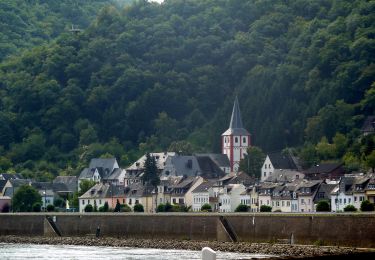 Randonnée A pied Boppard - Traumschleife Rheingold - Photo