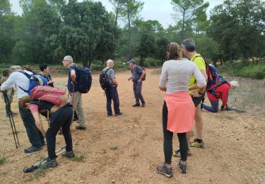 Tocht Stappen Cotignac - cotignac - Photo