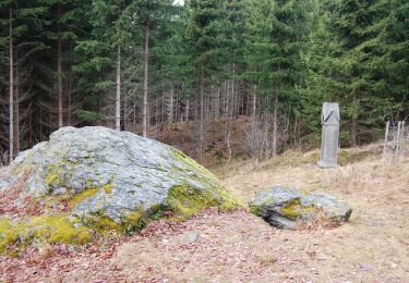 Trail On foot Volary - CZ-[Č - místní] - Photo