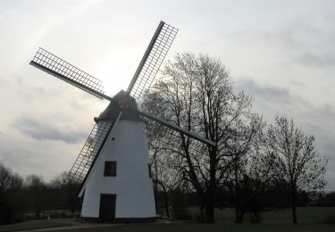 Randonnée Marche Incourt - #210222 - Opprebais, promenade du moulin Gustot*** - Photo