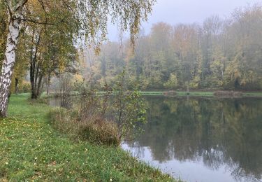 Tocht Stappen Contre - Contre Bergicourt  - Photo