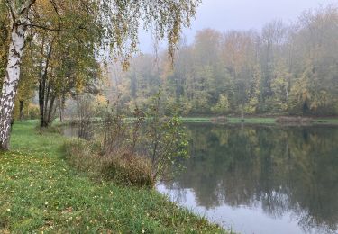 Randonnée Marche Contre - Contre Bergicourt  - Photo