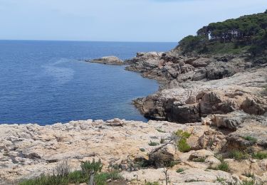 Tour Wandern Palafrugell - de Tamariu àcala Pedrosa. - Photo